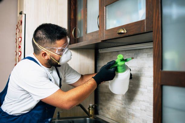 Best Local Pest Control Services  in Villa Park, CA