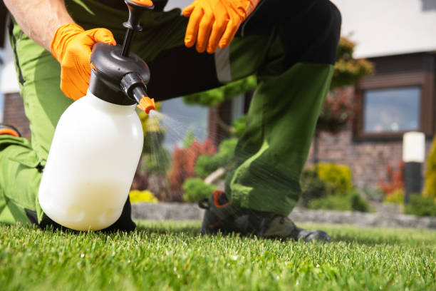 Best Pest Control for Businesses  in Villa Park, CA