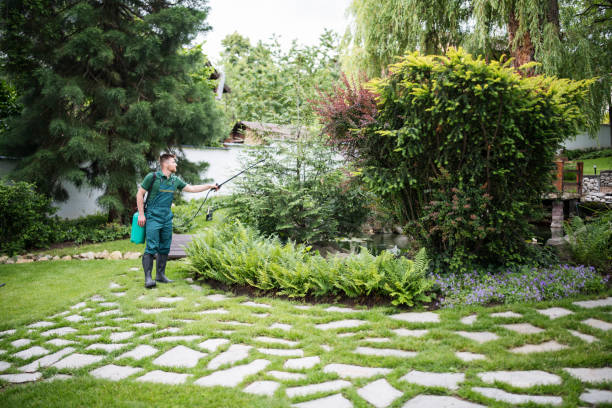 Best Commercial Pest Control Services  in Villa Park, CA
