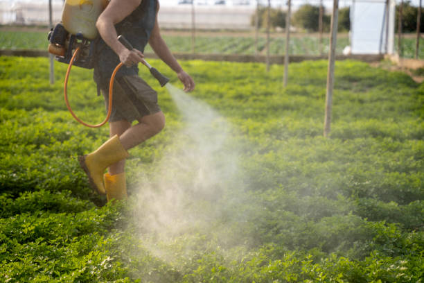 Insect Control in Villa Park, CA