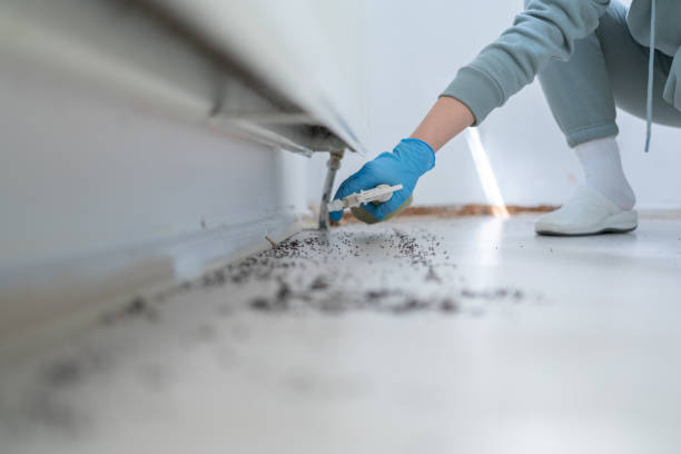 Best Pest Prevention Services  in Villa Park, CA